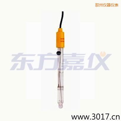 膠州可填充玻璃管電極