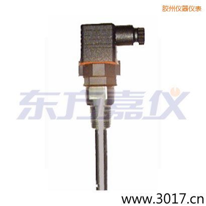 膠州含有溫度的兩線電導(dǎo)率電極