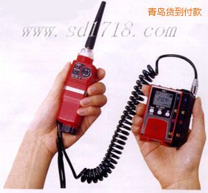 青島可燃?xì)怏w檢測(cè)報(bào)警儀