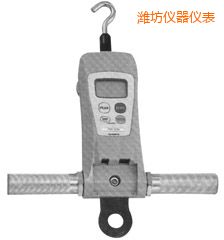 濰坊高荷重型 FGC-HB/FGN-HB 系列數(shù)顯推拉力計