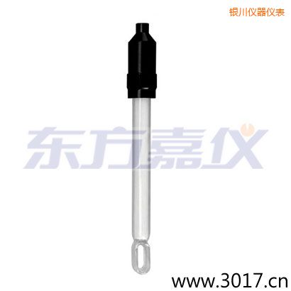 銀川玻璃外殼無溫補兩線電導率電極