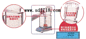 株洲先進(jìn)型天平,310g,0.001g